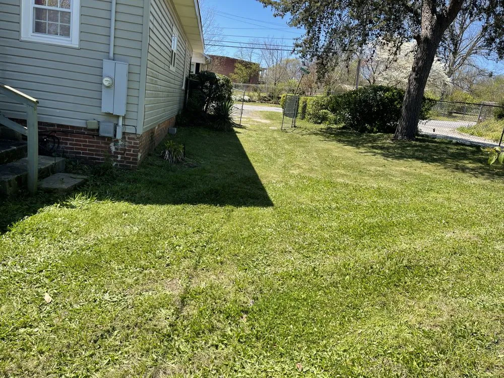 Reliable landscape installation in Greenville, SC by Jefferson Landscaping