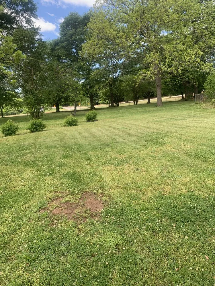 Trusted landscape installation for year-round maintenance across Greenville, SC - Jefferson Landscaping