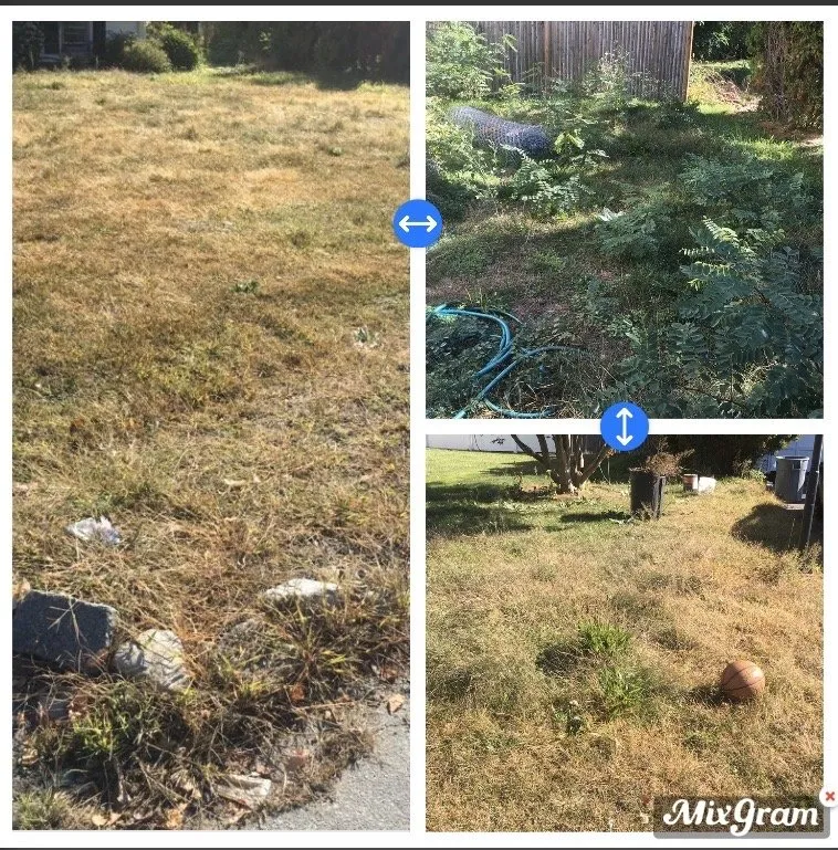 Local yard maintenance experts serving Cambridge, MA - Jeff&Mel’s Landscaping And Fall And Winter Preparation