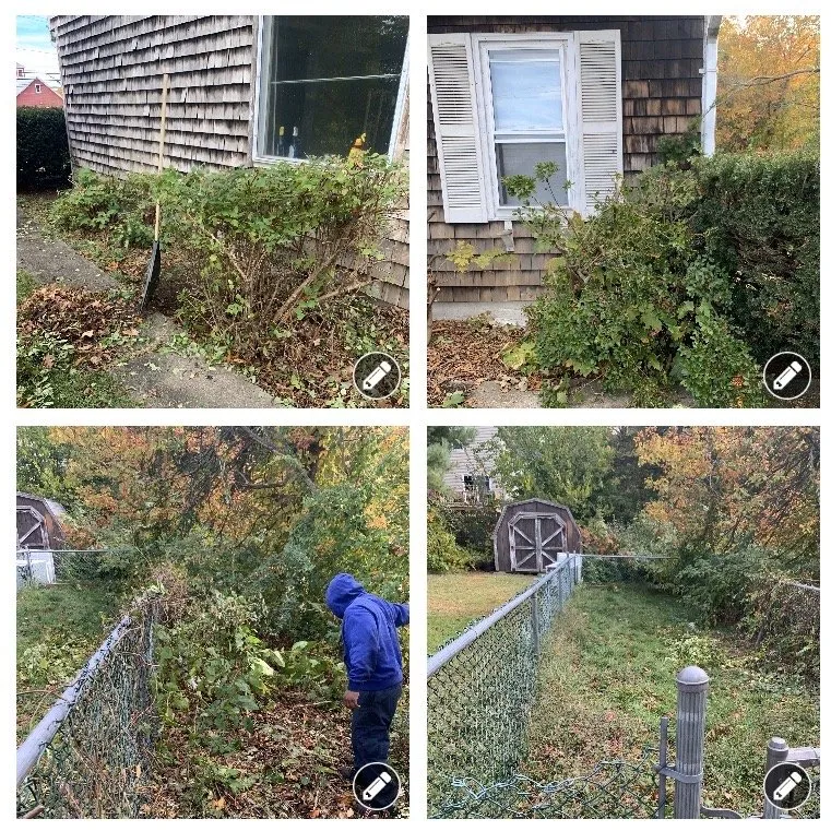 Top-rated outdoor landscaping with custom design in Cambridge, MA by Jeff&Mel’s Landscaping And Fall And Winter Preparation