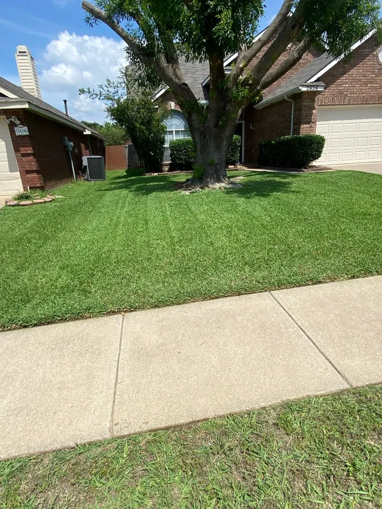 Top-rated landscape installation experts serving Denton, TX - Jeffrey Boys Lawn Barbers