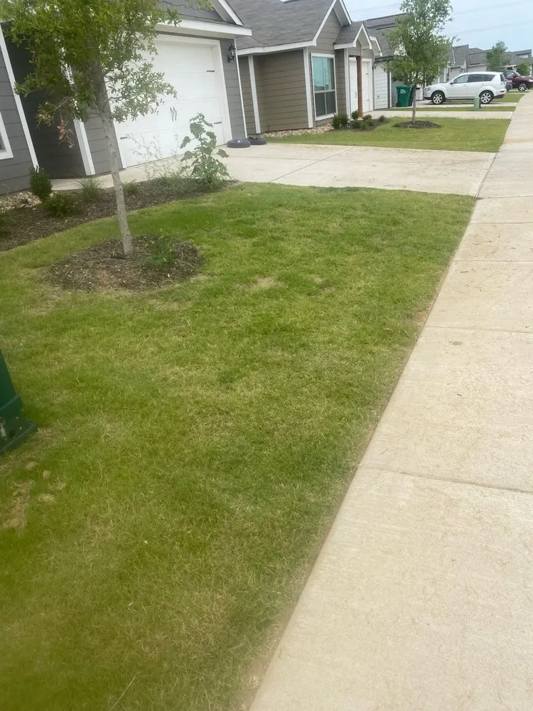 Professional lawn care service for beautiful yards in Denton, TX by Jeffrey Boys Lawn Barbers