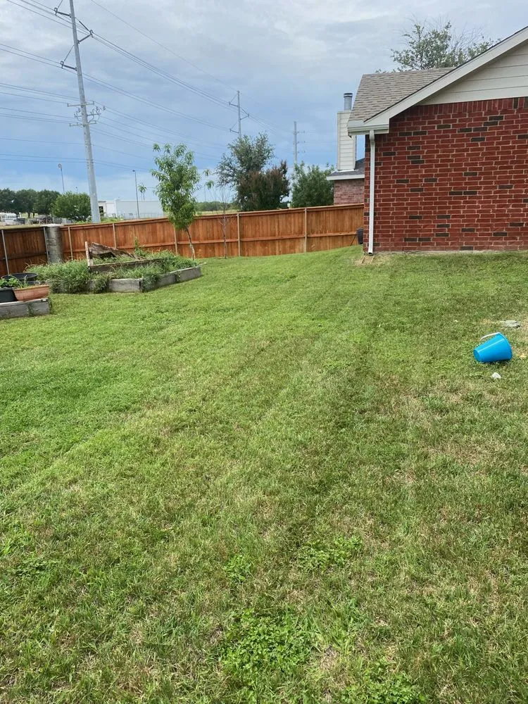 Expert landscape installation in Denton, TX by Jeffrey Boys Lawn Barbers