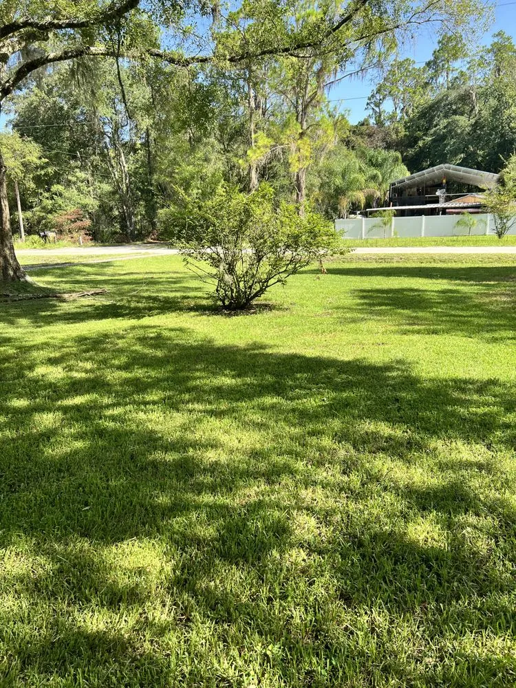 Affordable yard maintenance experts serving Wesley Chapel, FL - Jeffrey L Ledford
