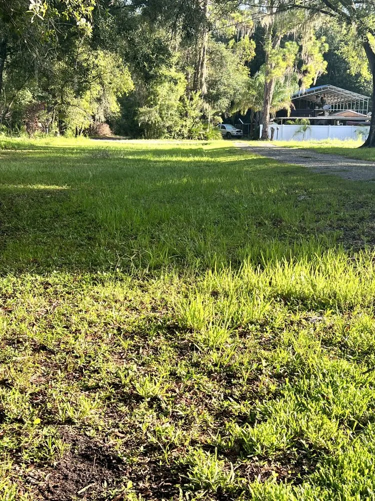 Reliable outdoor landscaping in Wesley Chapel, FL - Jeffrey L Ledford