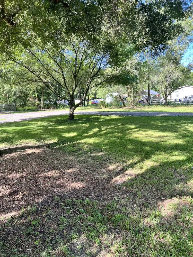 Trusted yard maintenance in Wesley Chapel, FL by Jeffrey L Ledford