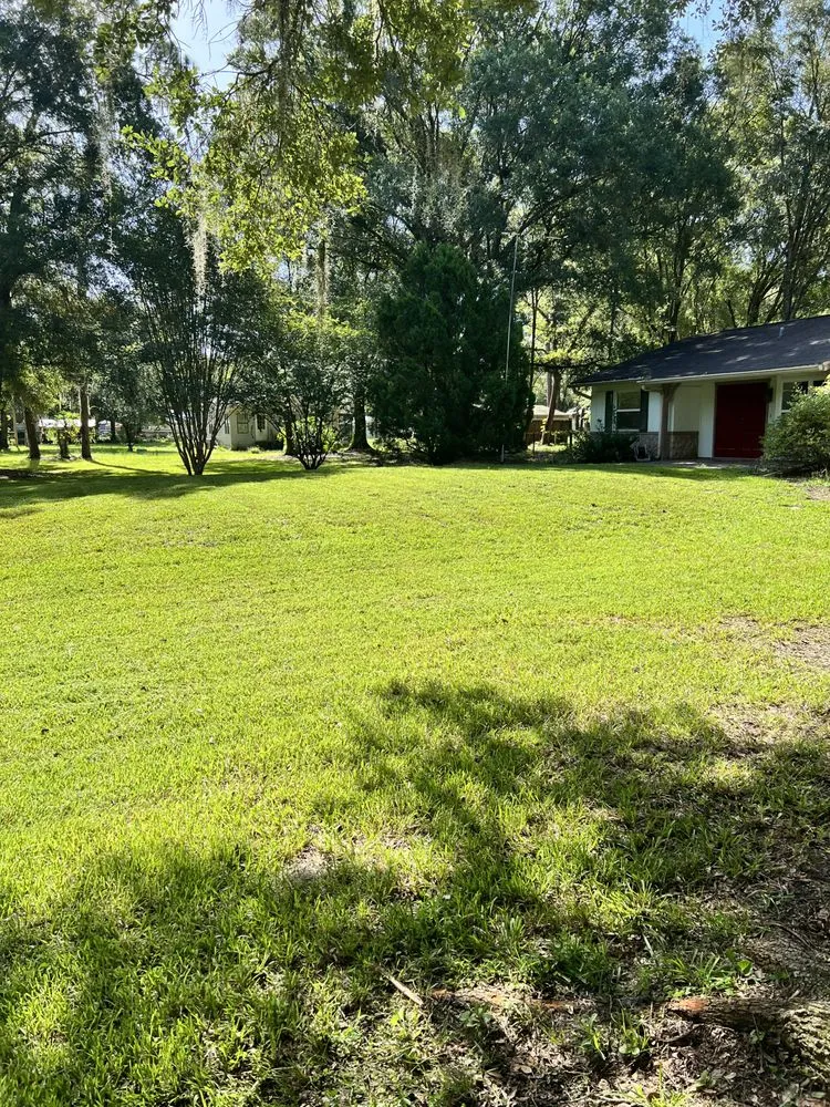 Local lawn mowing service in Wesley Chapel, FL - Jeffrey L Ledford