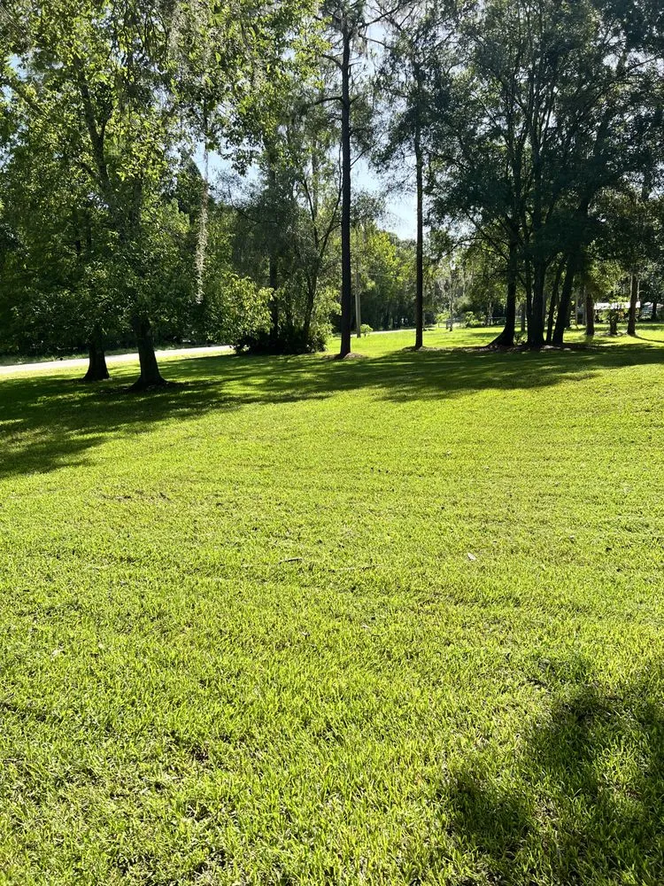Affordable lawn mowing service experts serving Wesley Chapel, FL - Jeffrey L Ledford