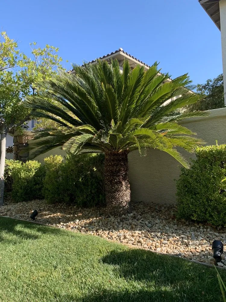 Expert landscaping services in Las Vegas, NV - Jeffrey Lee Landscaping