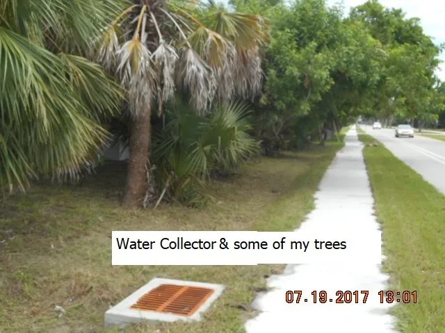 Trusted yard maintenance in North Fort Myers, FL by Jeffrey M Edwards Landscaping Service