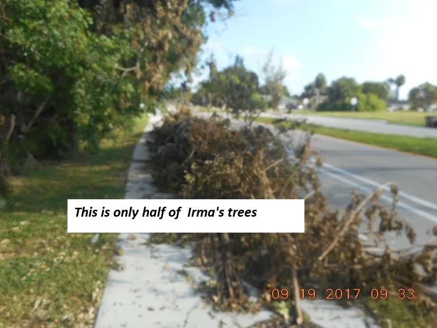 Expert lawn care service experts serving North Fort Myers, FL - Jeffrey M Edwards Landscaping Service