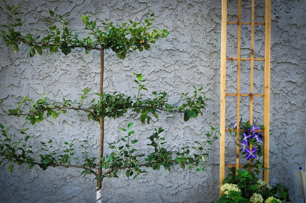 Trusted landscape installation in Overland Park, KS - Jeffrey Preuss Landscapes