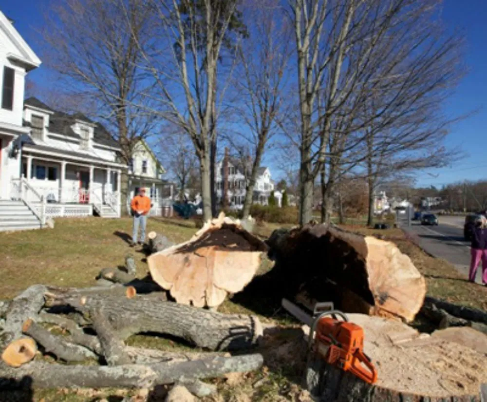 Expert yard maintenance in Mashpee, MA - Jeffrey Williams Landscaping