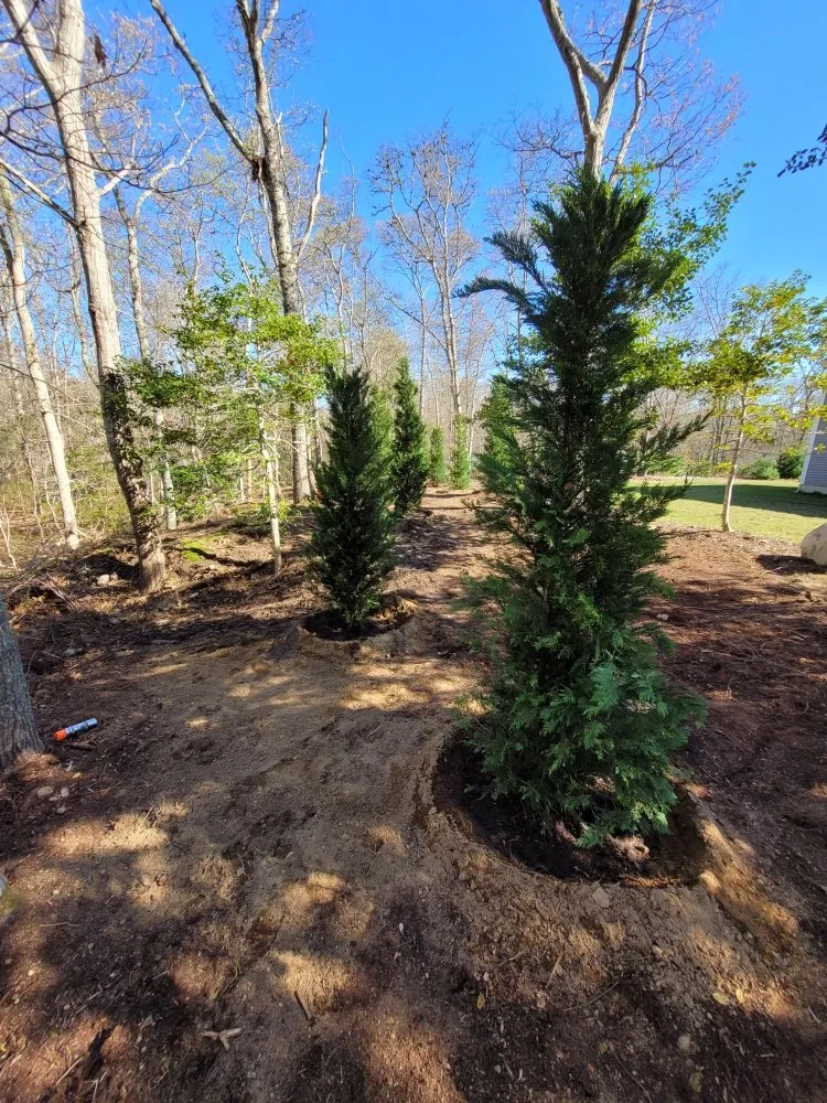Expert landscape design in Mashpee, MA by Jeffrey Williams Landscaping