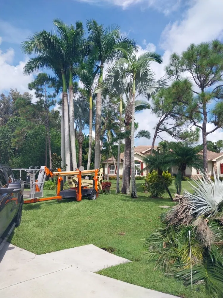 Reliable landscape installation in Stuart, FL by Jeffrey's In and Out Tree Service