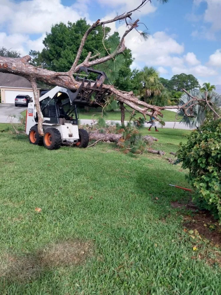 Affordable landscaping services with custom design across Stuart, FL - Jeffrey's In and Out Tree Service