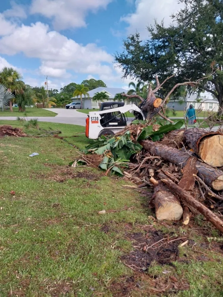 Affordable yard cleanup service for year-round maintenance across Stuart, FL - Jeffrey's In and Out Tree Service