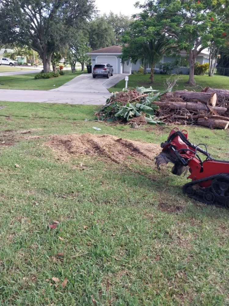 Custom landscaping services experts serving Stuart, FL - Jeffrey's In and Out Tree Service
