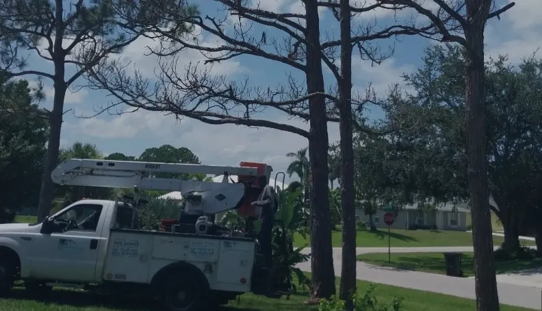 Reliable residential landscaping for outdoor upgrades across Stuart, FL - Jeffrey's In and Out Tree Service