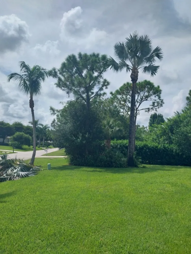 Trusted yard maintenance in Stuart, FL by Jeffrey's In and Out Tree Service