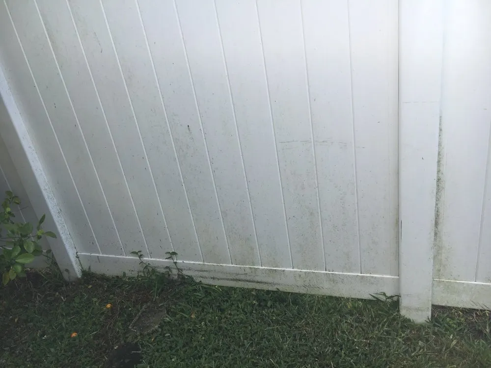 Top-rated residential landscaping in Bradenton, FL - Jeffrey's Lawn Service