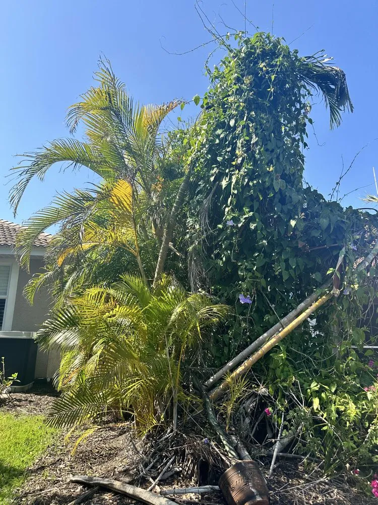 Trusted landscape design experts serving Bradenton, FL - Jeffrey's Lawn Service