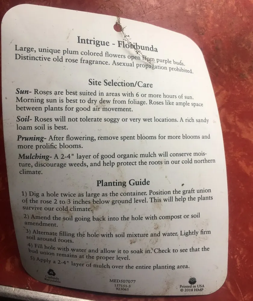 Top-rated outdoor landscaping in Matamoras, PA by Jeff's Garden Shop