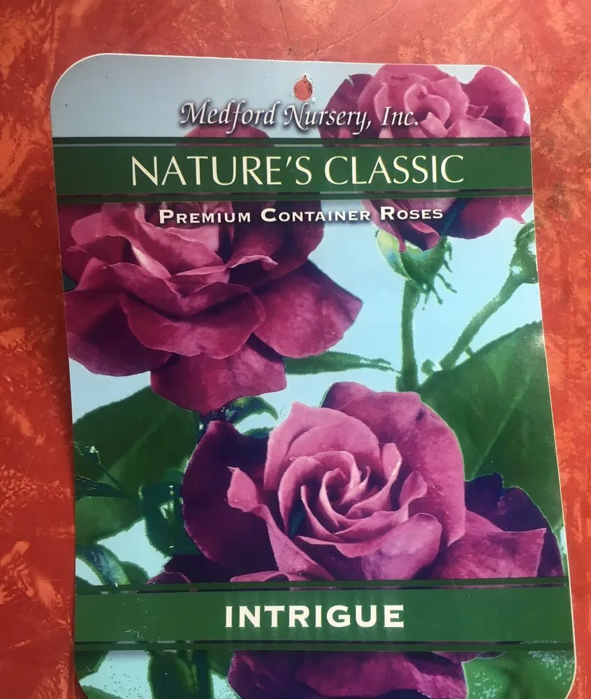 Top-rated landscaping services experts serving Matamoras, PA - Jeff's Garden Shop