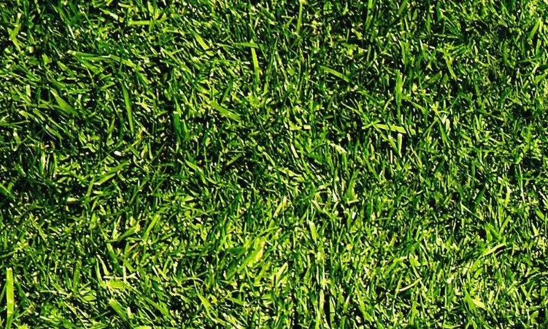 Custom garden landscaping in Middleton, ID - Jeff's Green Grass