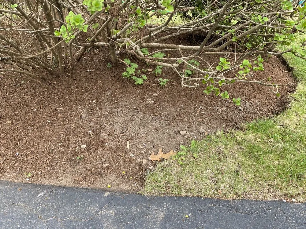 Trusted landscaping services in Wakefield, MA - Jeff's Landscape