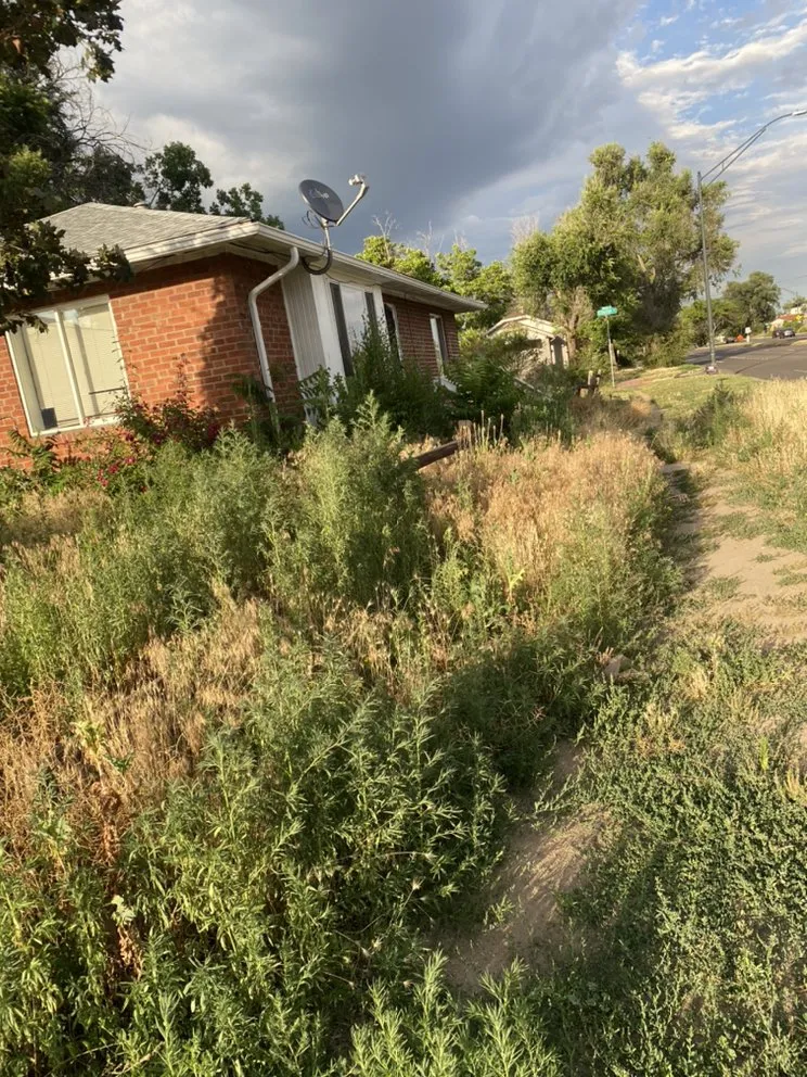 Affordable lawn care service near you in Westminster, CO by Jeff’s Landscapes