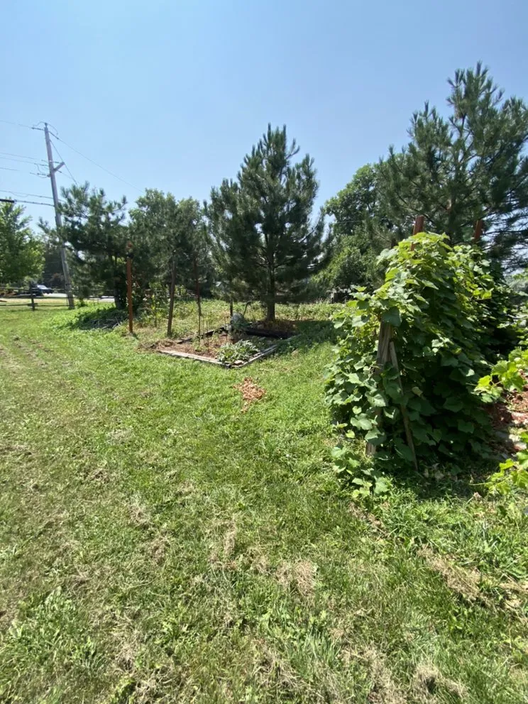 Top-rated yard maintenance for beautiful yards in Westminster, CO by Jeff’s Landscapes