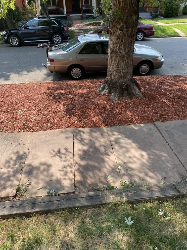 Custom lawn mowing service in Westminster, CO - Jeff’s Landscapes