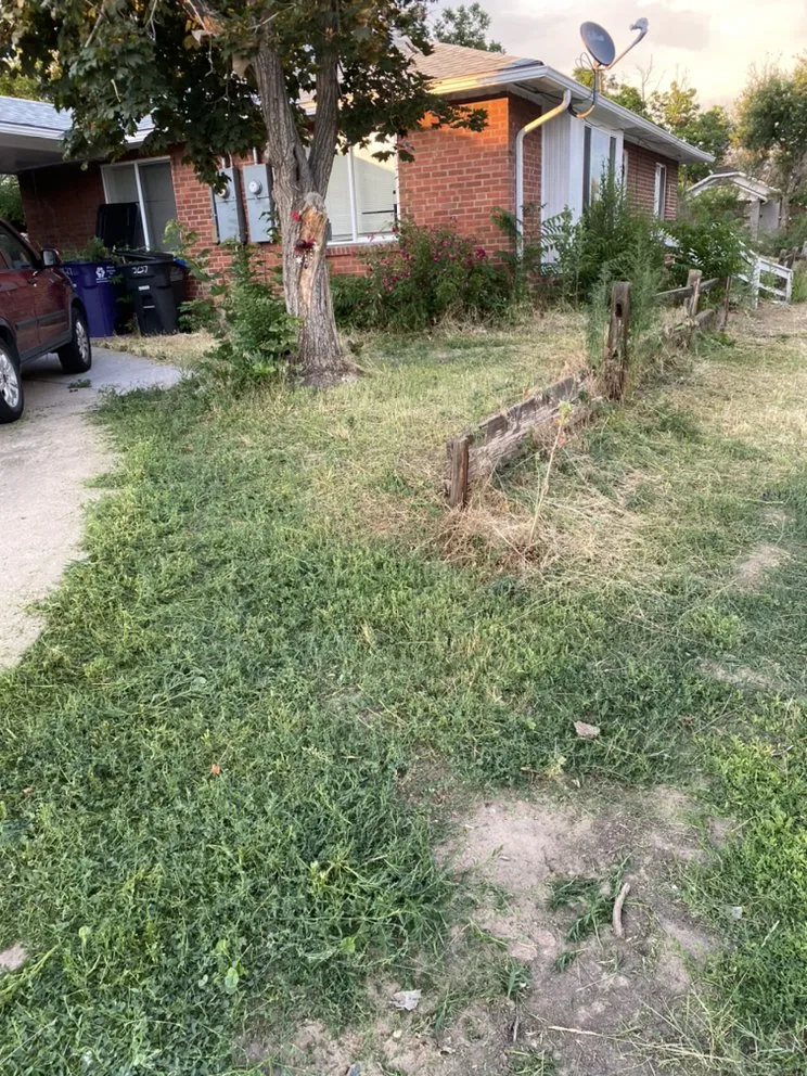 Professional landscape design experts serving Westminster, CO - Jeff’s Landscapes