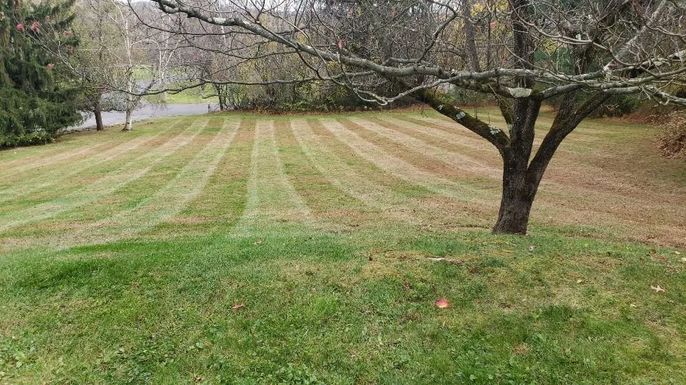 Affordable lawn mowing service in Phillipsburg, NJ - Jeff's Landscaping - Phillipsburg