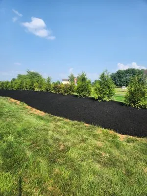 Jeff's Landscaping - Phillipsburg Logo