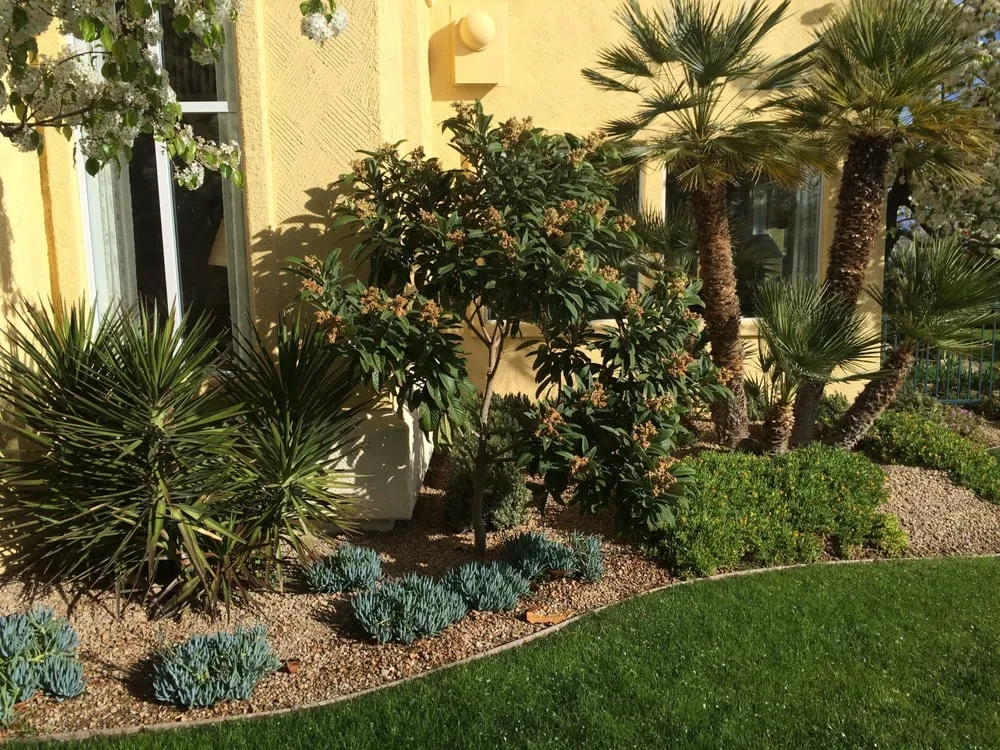 Trusted yard maintenance experts serving Las Vegas, NV - Jeff's Lawn & Landscaping