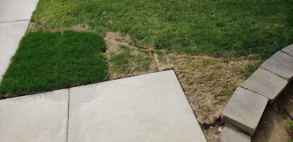 Affordable yard maintenance for beautiful yards in Las Vegas, NV by Jeff's Lawn & Landscaping