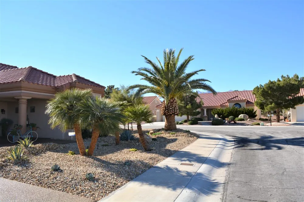 Custom landscape design in Las Vegas, NV by Jeff's Lawn & Landscaping