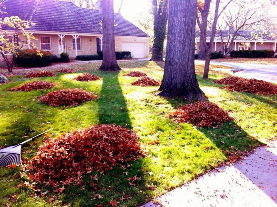 Top-rated yard cleanup service near you in Central Square, NY by Jeff's Lawn & Landscaping Property Services