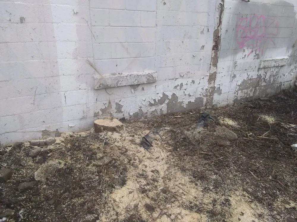 Reliable lawn mowing service near you in Central Square, NY by Jeff's Lawn & Landscaping Property Services