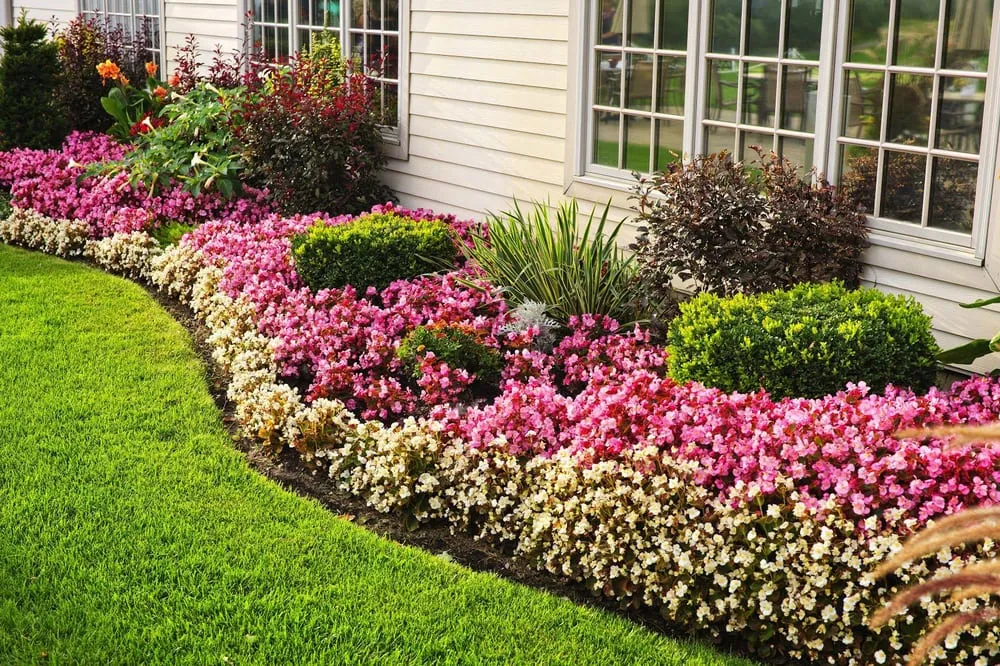 Reliable yard maintenance in Central Square, NY by Jeff's Lawn & Landscaping Property Services