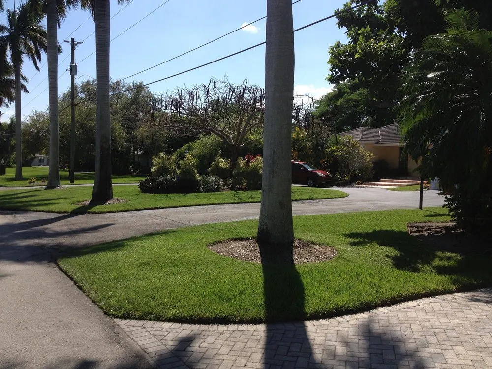 Affordable lawn care service experts serving Homestead, FL - Jeff's Lawn & Lawnscaping