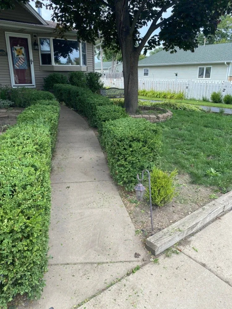 Affordable yard maintenance in Kenosha, WI - Jeff's Lawn and Snow