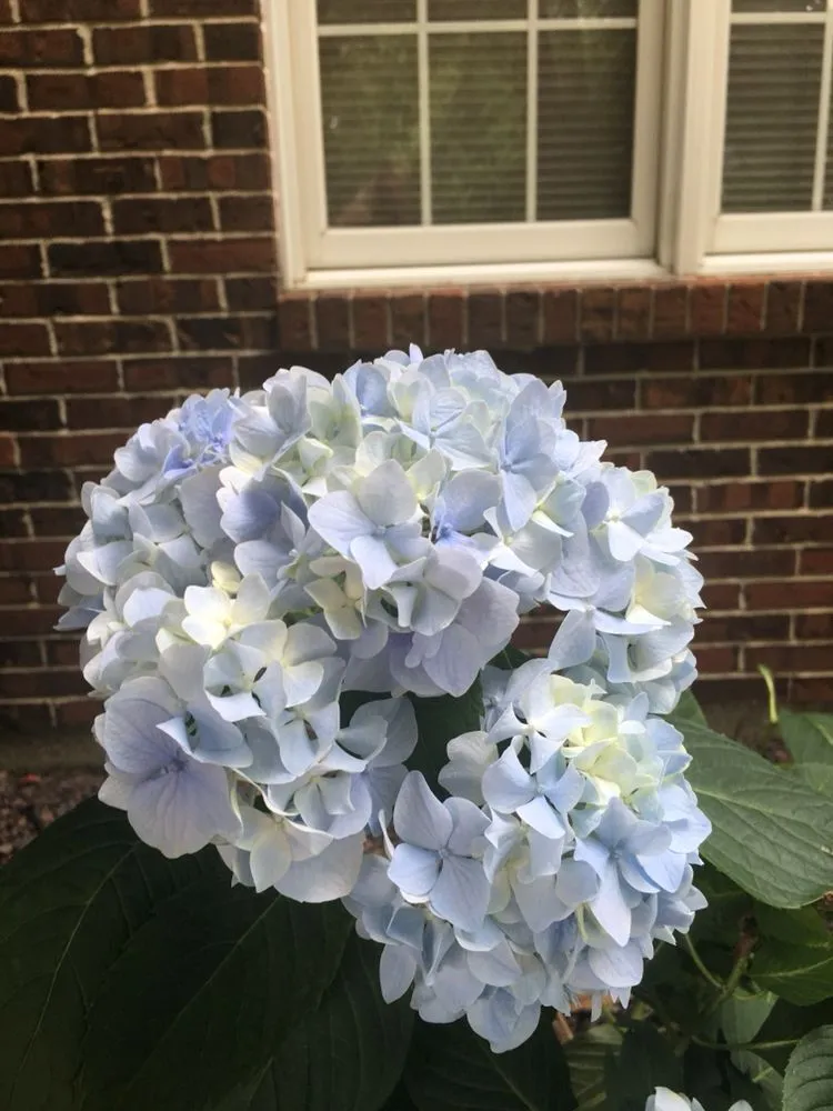 Trusted outdoor landscaping for residential properties across Eureka, MO - Jeff's Lawn Care & Landscaping