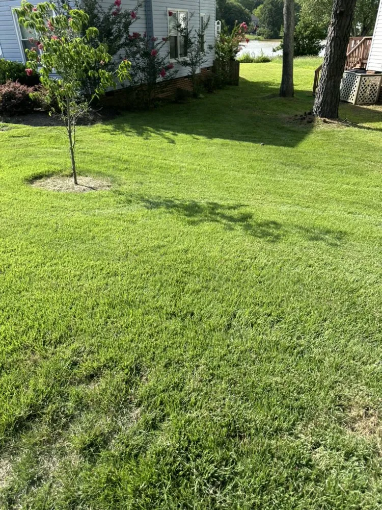 Affordable landscape design experts serving Charles City, VA - Jeff’s Lawn Care