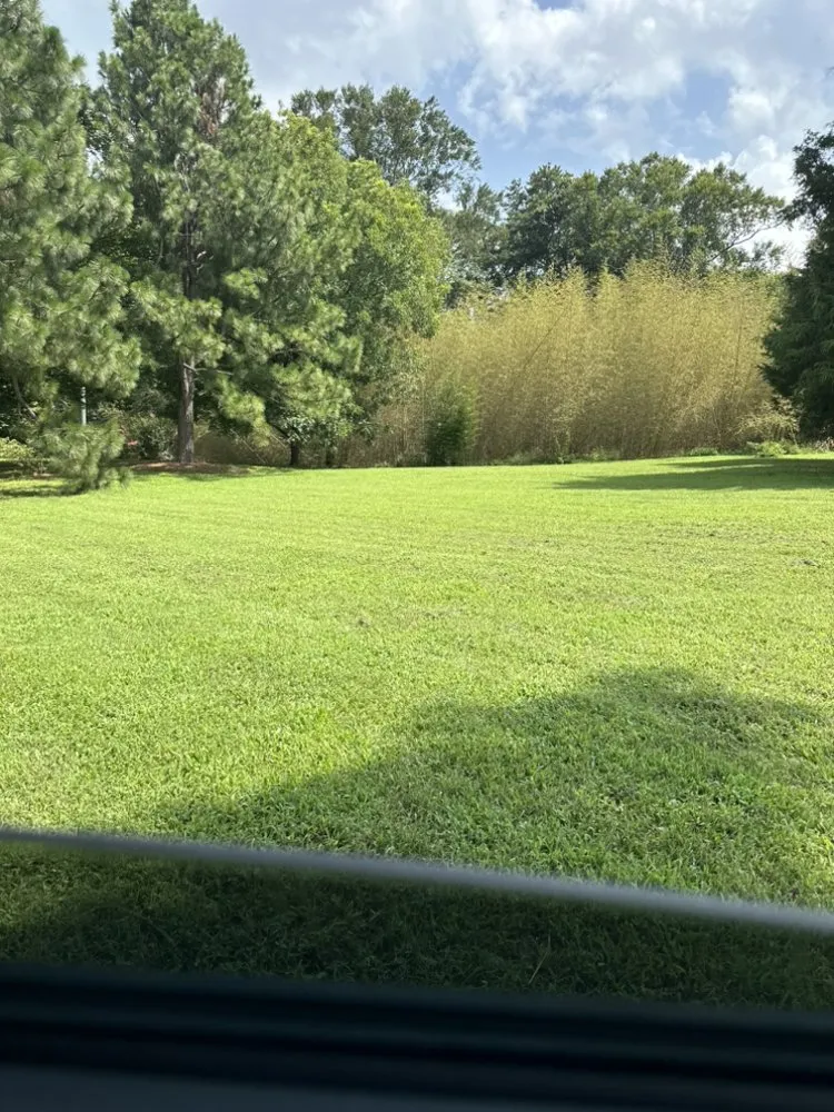 Local lawn care service in Charles City, VA - Jeff’s Lawn Care
