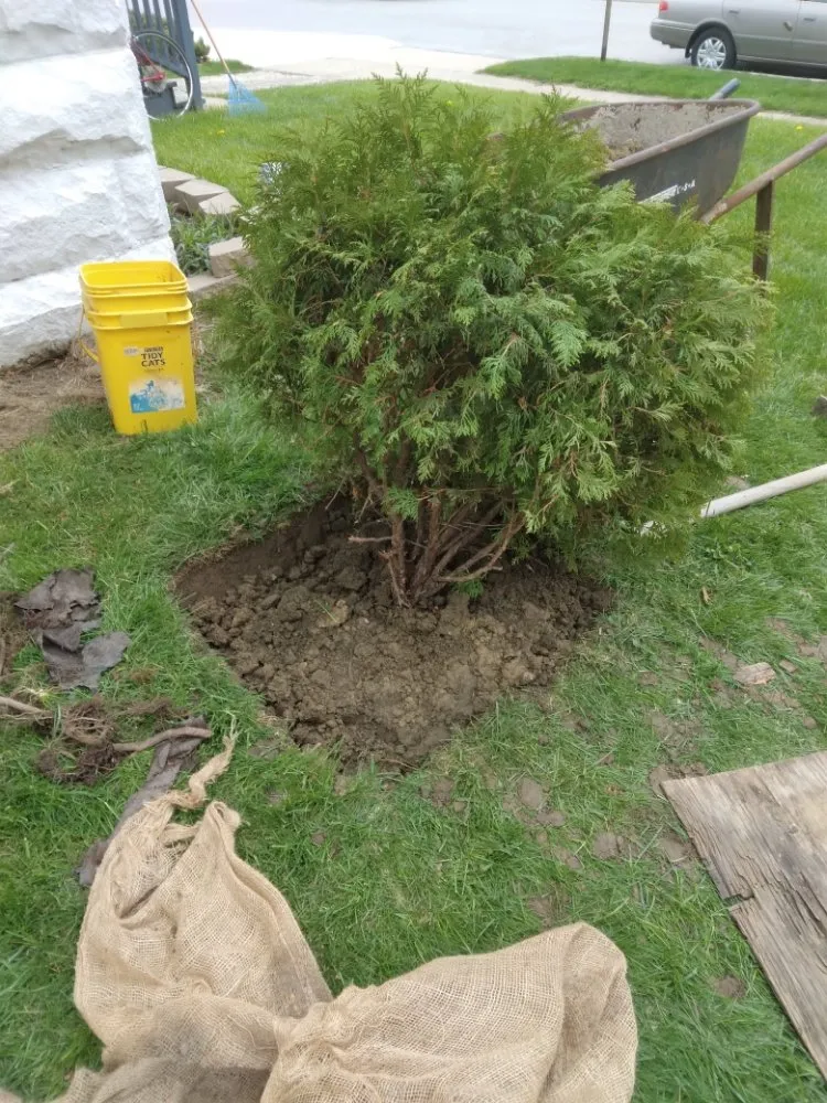 Reliable lawn mowing service in Cleveland, OH - Jeff’s Lawn Care