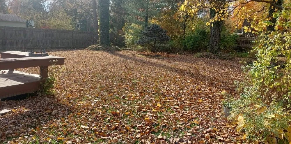 Expert landscaping services for residential properties in Cleveland, OH by Jeff’s Lawn Care