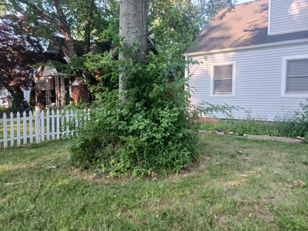 Professional yard cleanup service for residential properties in Cleveland, OH by Jeff’s Lawn Care